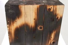 C0B39C88-3B12-4354-B458-282EB984966F_1_105_c